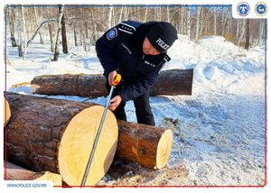 Экологийн цагдаагийн алба ойн баялаг ашиглалтын erp.forest.gov.mn цахим программыг үйл ажиллагаандаа нэвтрүүллээ